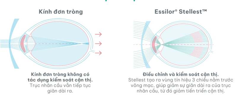 Cơ chế hoạt động của kính Stellest