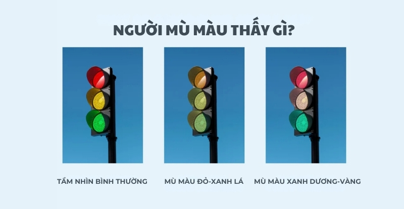 Một số dạng mù màu phổ biến