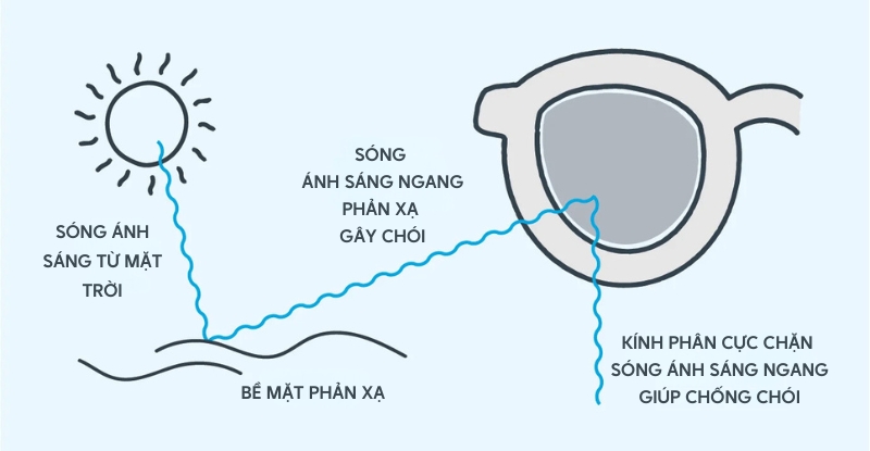 Mô tả cách hoạt động của kính phân cực