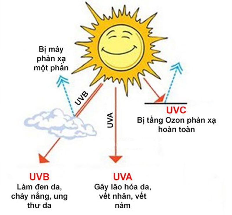 Hiểu về tia UV